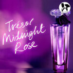 عطر ادکلن زنانه لانکوم ترزور میدنایت رز مستر کوالیتی Tresor Midnight Rose - Image 3