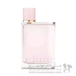 عطر ادکلن باربری هر زنانه مستر کوالیتی | Burberry Her - Image 2